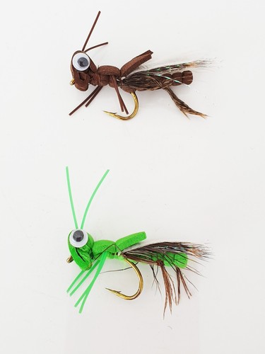 Cricket grasshopper carp - cricket, /