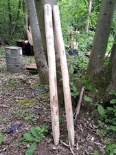 CHESTNUT ROUND FENCE-POSTS 6' HIGH 31/2" - 5" APPROX