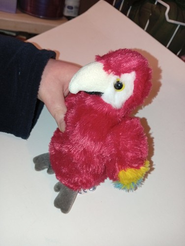 Aurora red mccaw - mccaw, soft