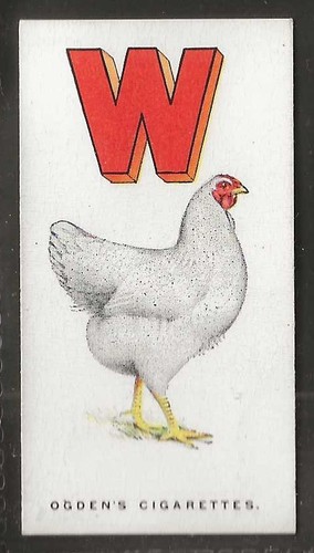Ogdens poultry alphabet - ogdens-poultry,