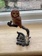 bowbrook studios Owl on tree