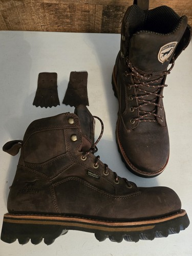 Irish setter trailblazer - setter,