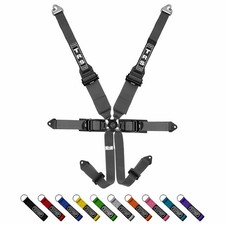 Westfield 6pt Harness TRS Pro