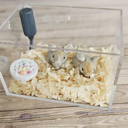 Rabbit cage kit with - rabbit,