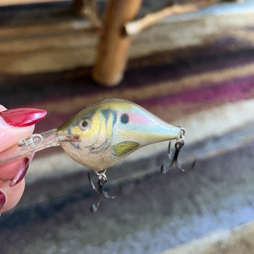 Rapala crankbait live - –,