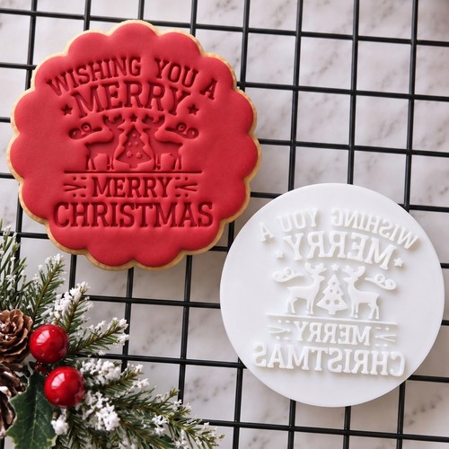 Wishing you merry christmas - you,