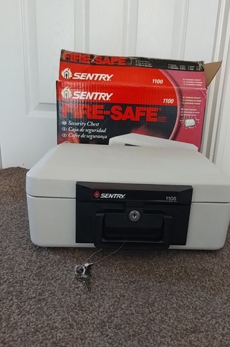 Sentry 1100 fire safe - safe, with