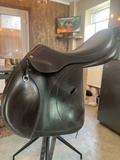 Gorgeous Equipe Expression 17” Medium