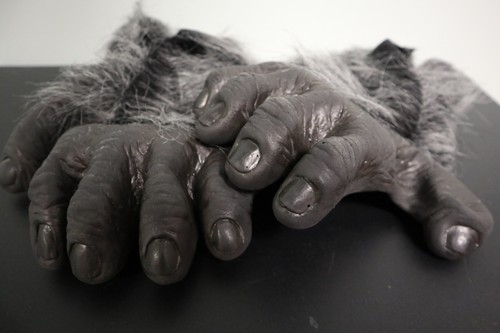 Primate feet zagone - -,