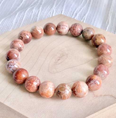 Agatized fossil coral jade - agatized,