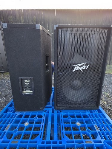 Peavey pv115 sold as - (sold,