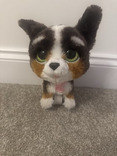 Fur real puppy - real, sounds