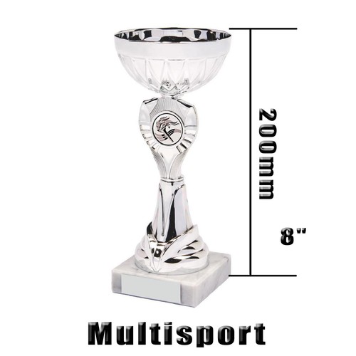 Silver sports trophy - sports,