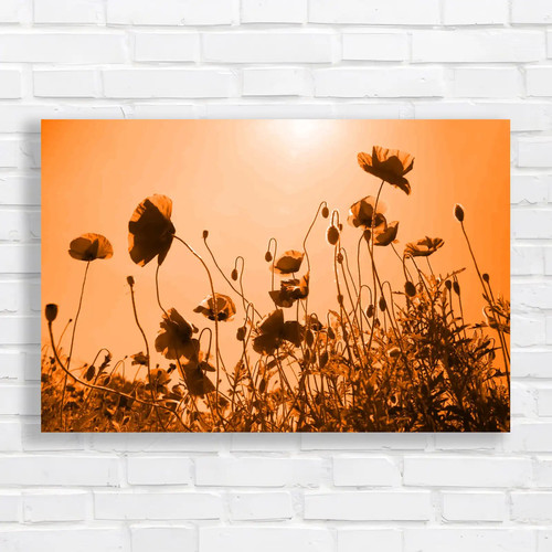 Poppy field flowers orange - flowers,
