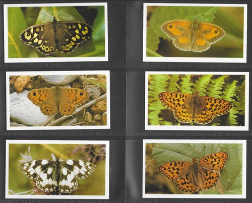 1983 british butterflies - butterflies,
