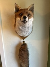 Taxidermy Fox Mask, This Is