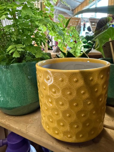 Ceramic yellow indoor - ceramic,