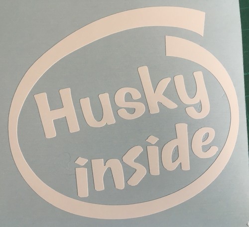 Siberian husky inside dog - husky, on