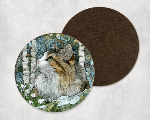 Norwegian forest cat birth - norwegian,