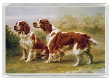 WELSH SPRINGER SPANIEL DOG