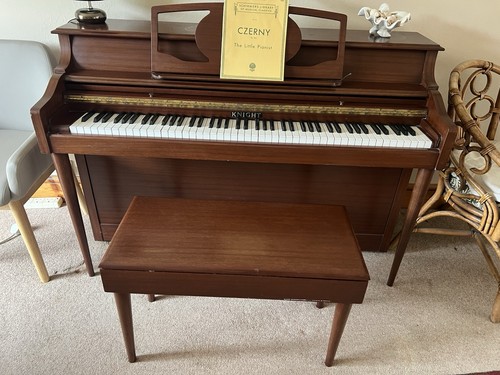 Beautiful mahogany knight - beautiful,