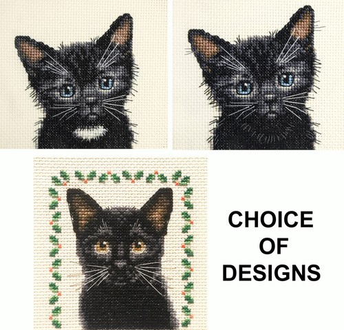 Black cat kitten counted - black, cat,