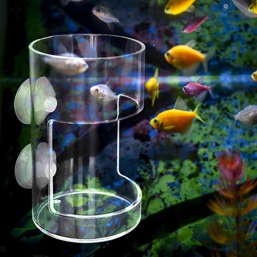 Acrylic fish feeder with - acrylic,