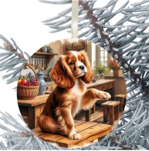 Cavalier king charles spaniel - cavalier,