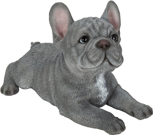 Vivid arts pet - vivid, laying