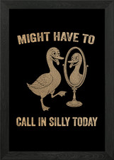 Silly duck mirror - silly, reflection
