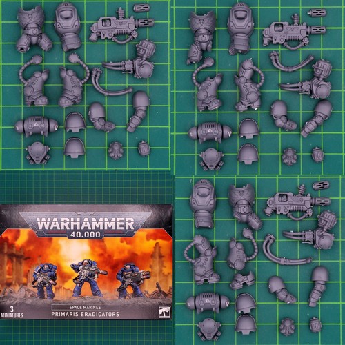 Space marine primaris - space,