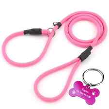 Strong Nylon Slip-On Rope Dog Puppy Pet Training Lead Leash with Free Dog Tag