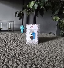 Charlie Bears Pin Badge - Study Buddy - Plush Collection 2019 - Limited To 300