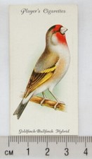 1933 John Player & Sons Aviary