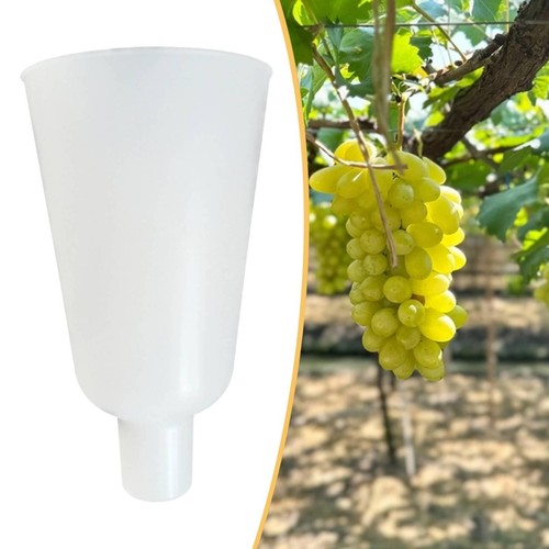 Grape dipping cup - grape,