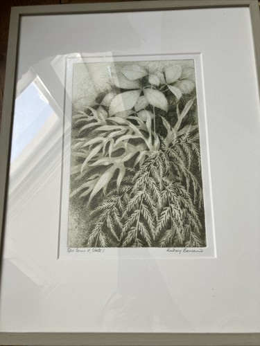 Signed audrey bascand - signed,