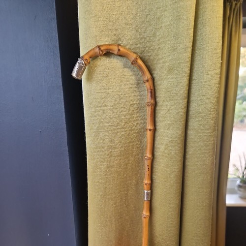 Antique walking stick silver - stick,