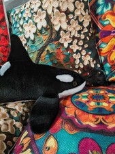 Large 50 Orca Killer Whale