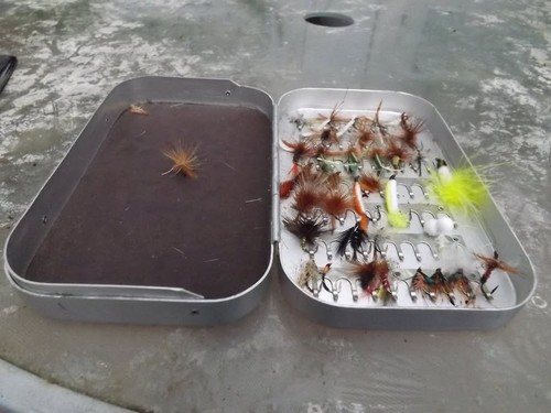 Richard wheatley large fly - richard,