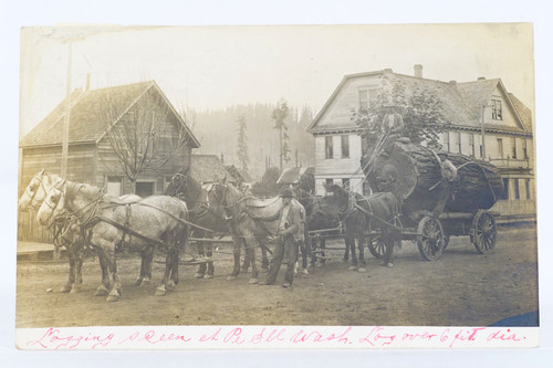 Horse drawn logging cart - horse,