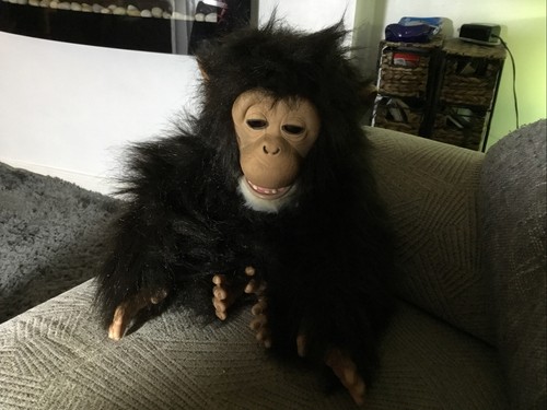 Furreal friends cuddle chimp - furreal,