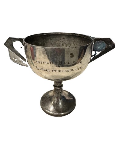 Vintage two handled loving cup - two-handled,
