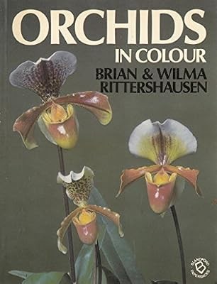 Orchids colour - orchids,