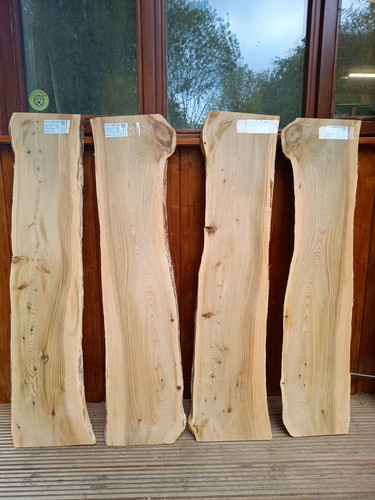 Cedar lebanon air dried - -,