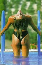 Sam Fox HD Artwork Poster A3 -