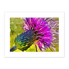 Scottish Thistle Flower