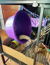Highwayhedgehogs "16 Cage