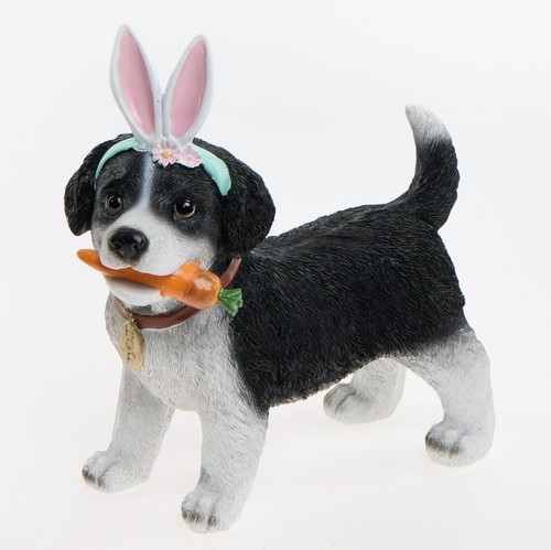 Border collie puppy - border,
