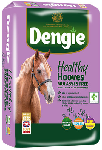 Dengie healthy hooves molasses - healthy,
