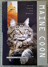 Maine Coon, M  Sluiter